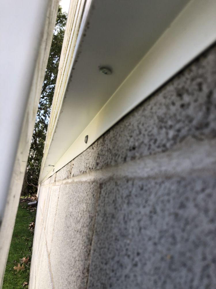 All Star Pest Solutions