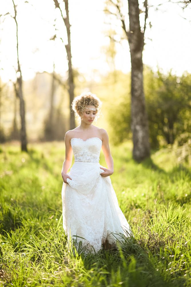 Van Wyhe Photography