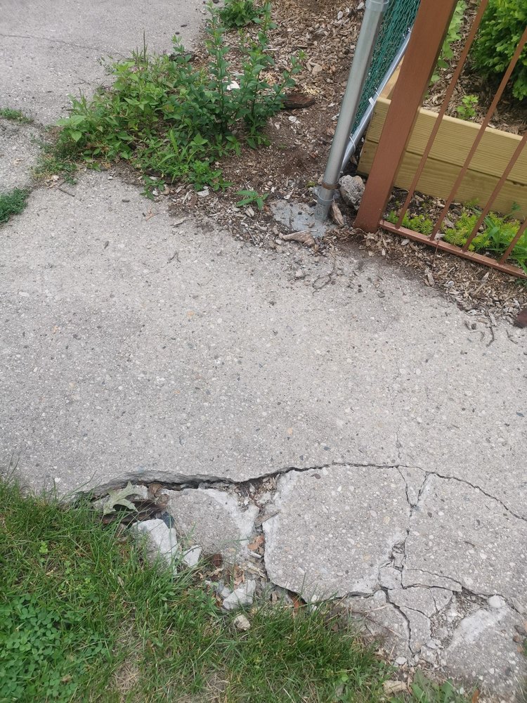 Jc Tree Care NY