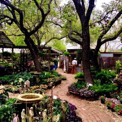 Whole Nursery San Antonio Thenurseries Shades Of Green 28 Photos 29 Reviews Nurseries Gardening
