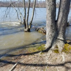 boat launch enfield ct kings island boat launch 108 photos boating 95 boat launch enfield ct kings island boat launch 108 photos boating 95