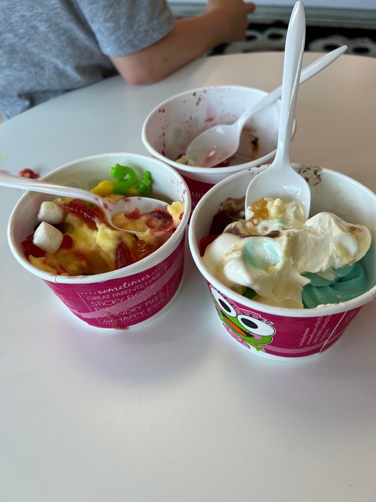sweetFrog Premium Frozen Yogurt
