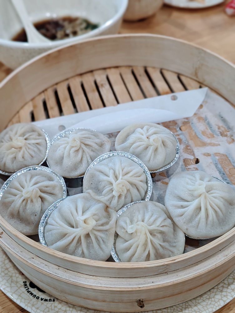 Fuwa Dumpling 福娃餃子