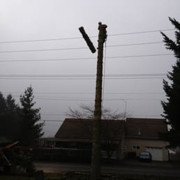 Photos For J F Tree Service Inc Yelp Photo Of J F Tree Service Inc Beaverton Or United States