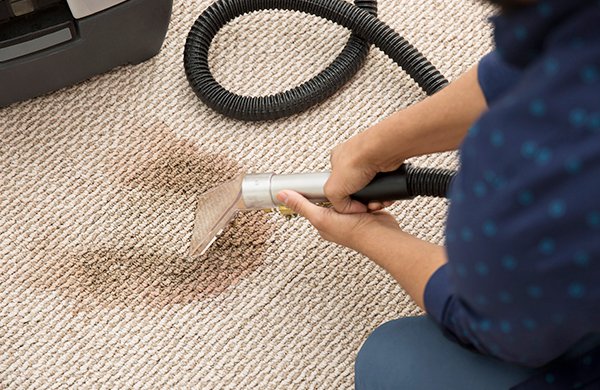 Excellent Carpet Cleaner