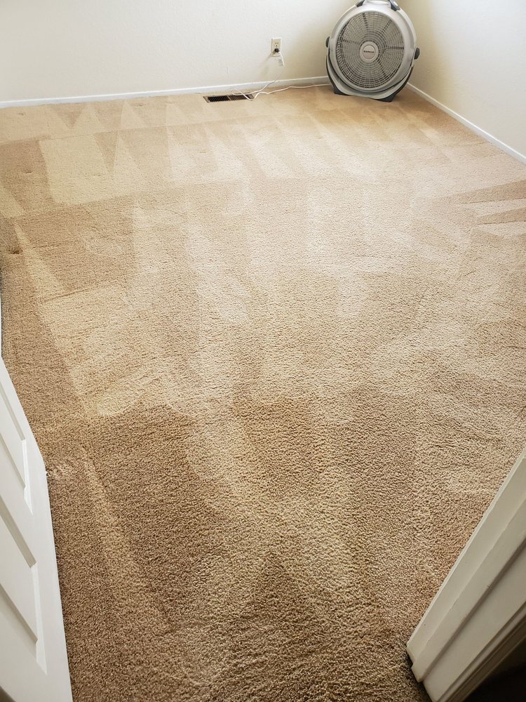 Blue Diamond Carpet and Upholstery Cleaning