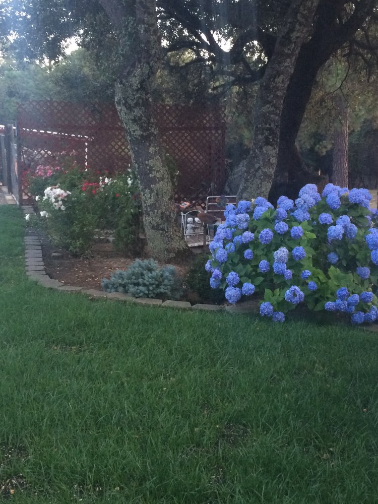 Able Landscape Maintenance 17 Photos Landscaping 5920 Oak Able Landscape Maintenance 17 Photos Landscaping 5920 Oak Hill Rd Placerville Ca Phone Number Yelp