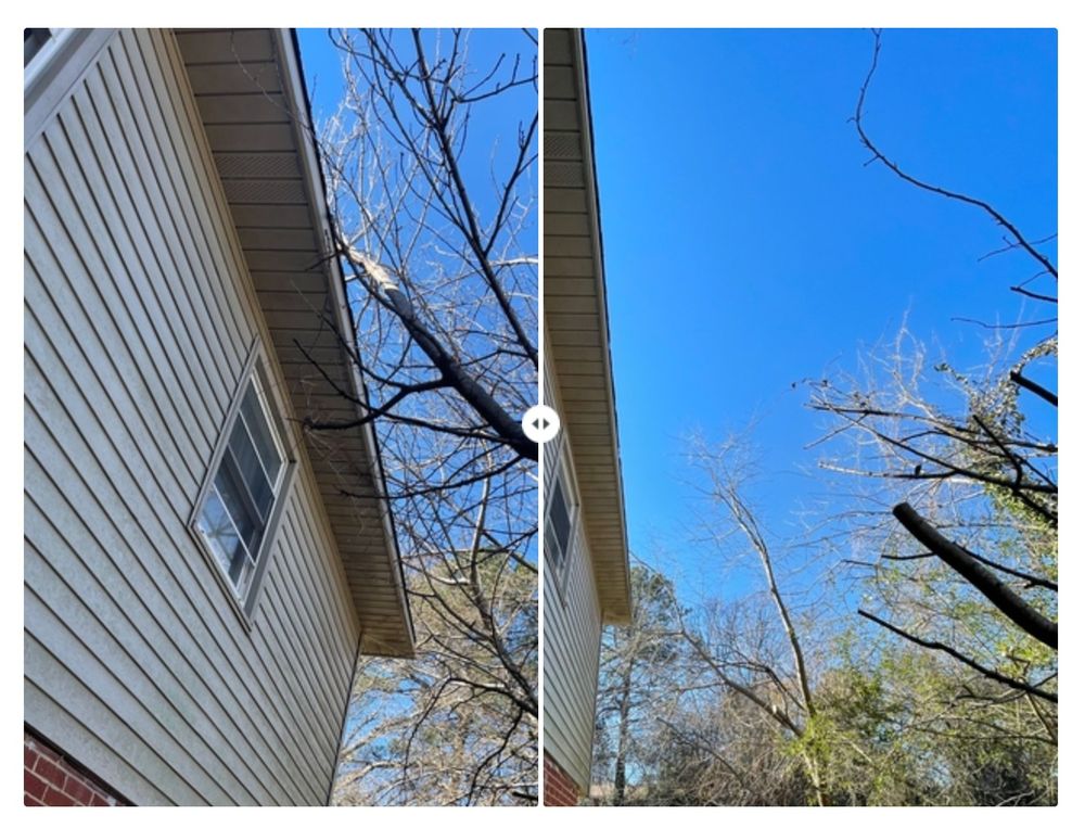 Trejo’s Trim Services