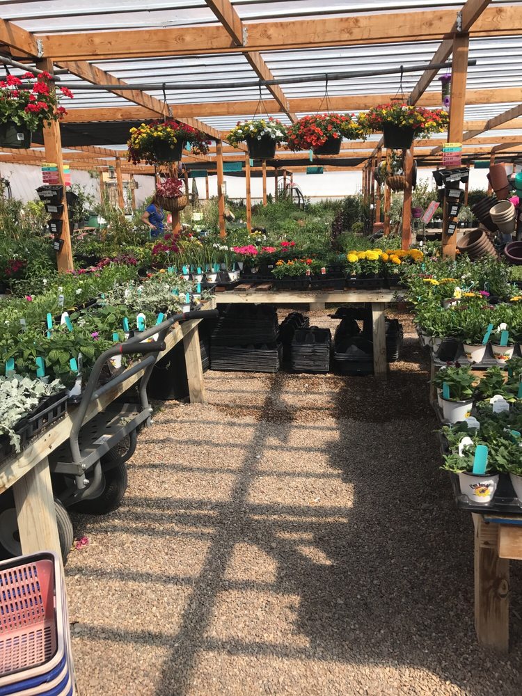 Beautiful Plants Yelp