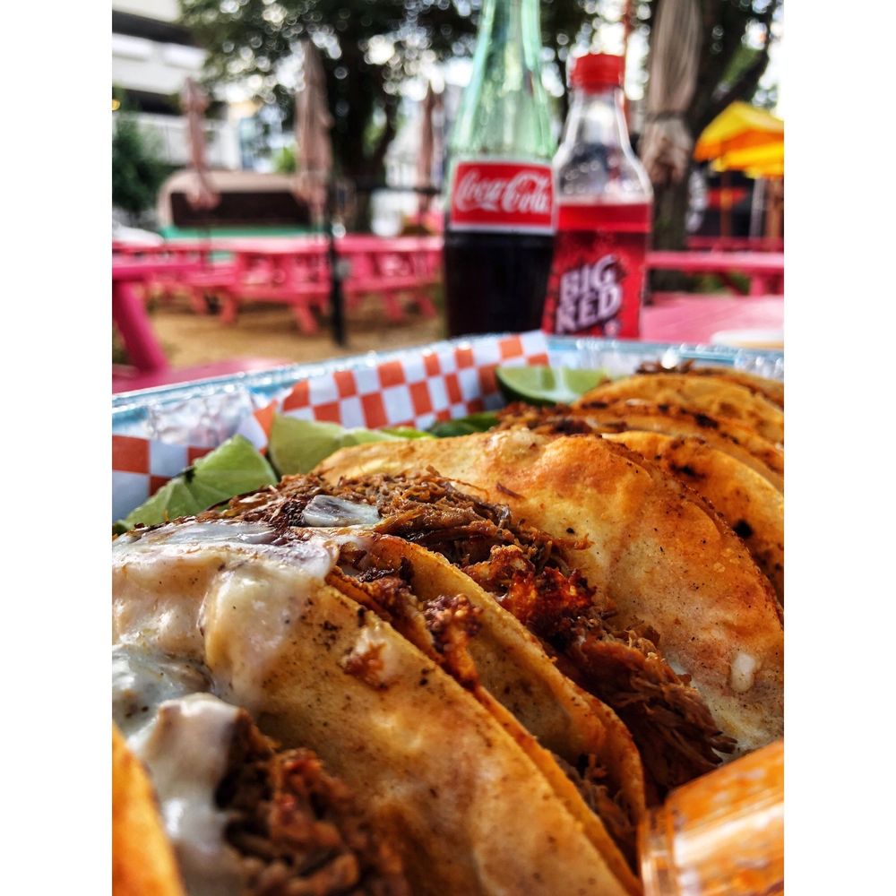 El Camino SA