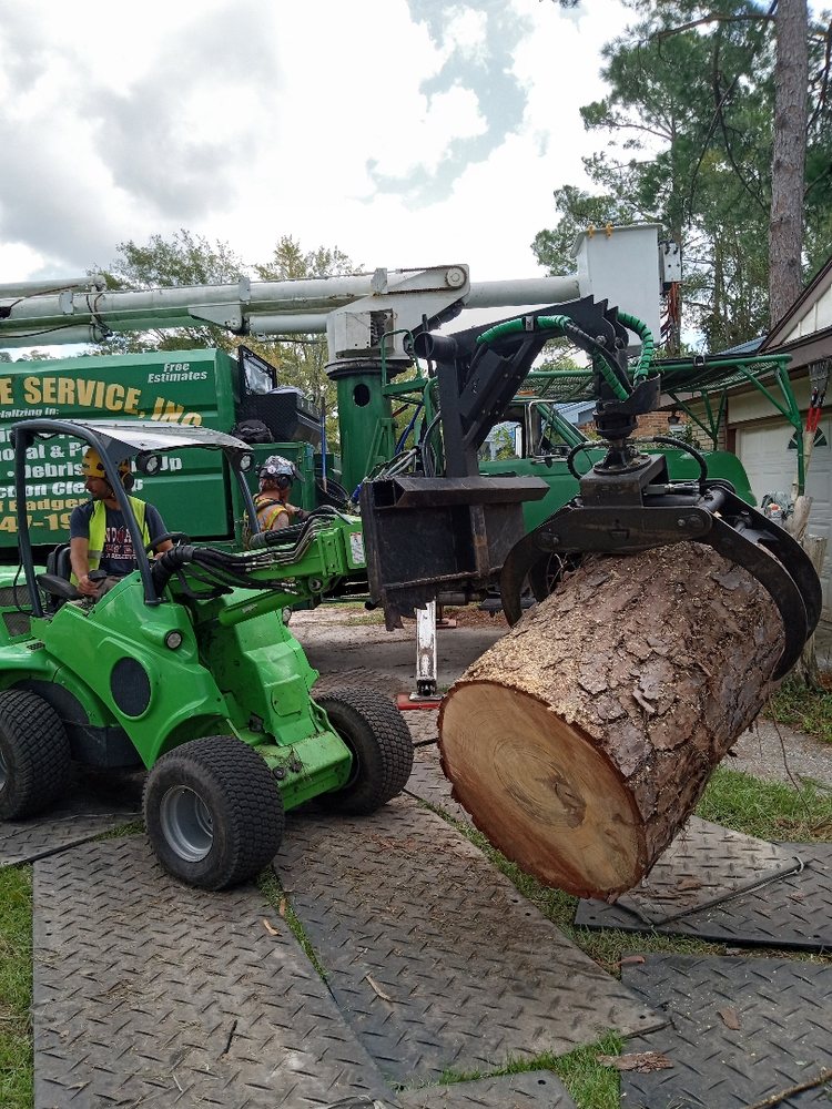 Badger Tree Service