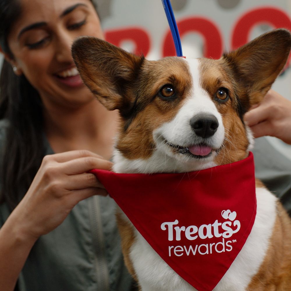 PetSmart Image