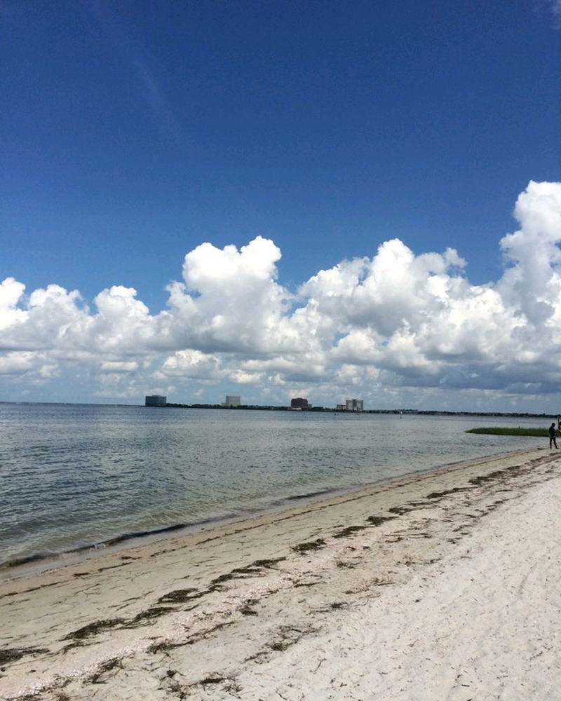 Cypress Point Park Beach With A View Of Clearwater 60 Causeway Photo Of Cypress Point Park Tampa Fl United States