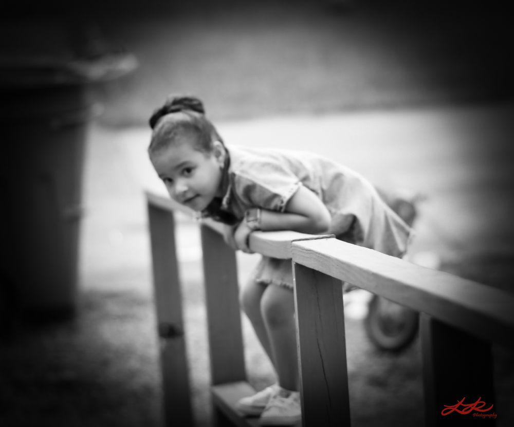 Lance Robinson Photography