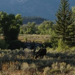 Dornan S Spur Ranch Cabins Hotels 12170 Rd Moose Wy Dornan S Spur Ranch Cabins Hotels 12170 Rd Moose Wy Phone Number Last Updated January 7 2019 Yelp