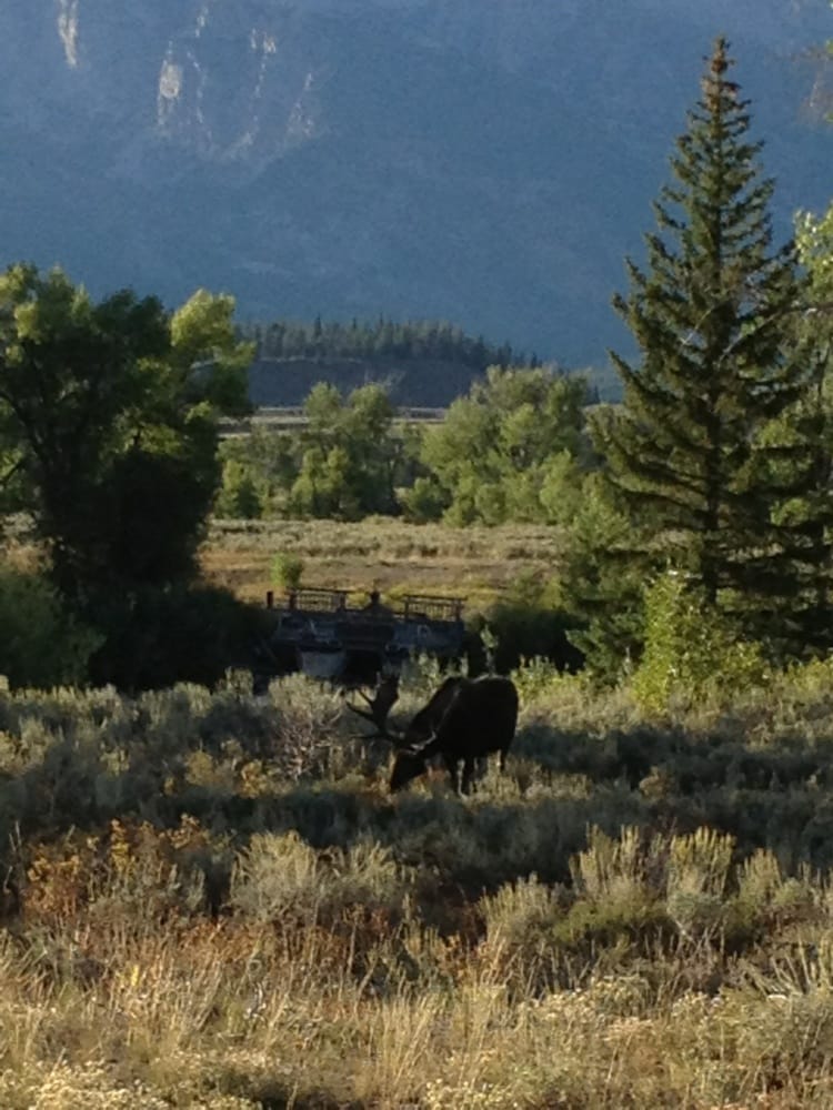 Dornan’s Spur Ranch Cabins Hotels 12170 Dornan Rd, Moose, WY
