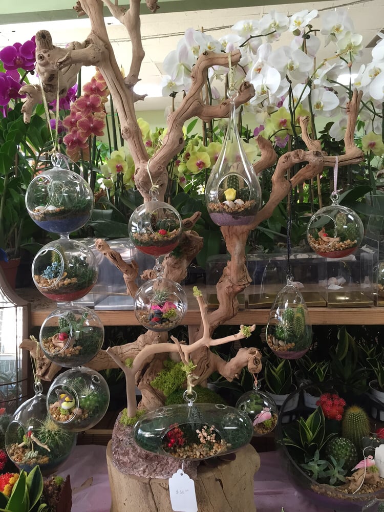 GG Florist Florists 9710 Garden Grove Blvd, Garden Grove, CA