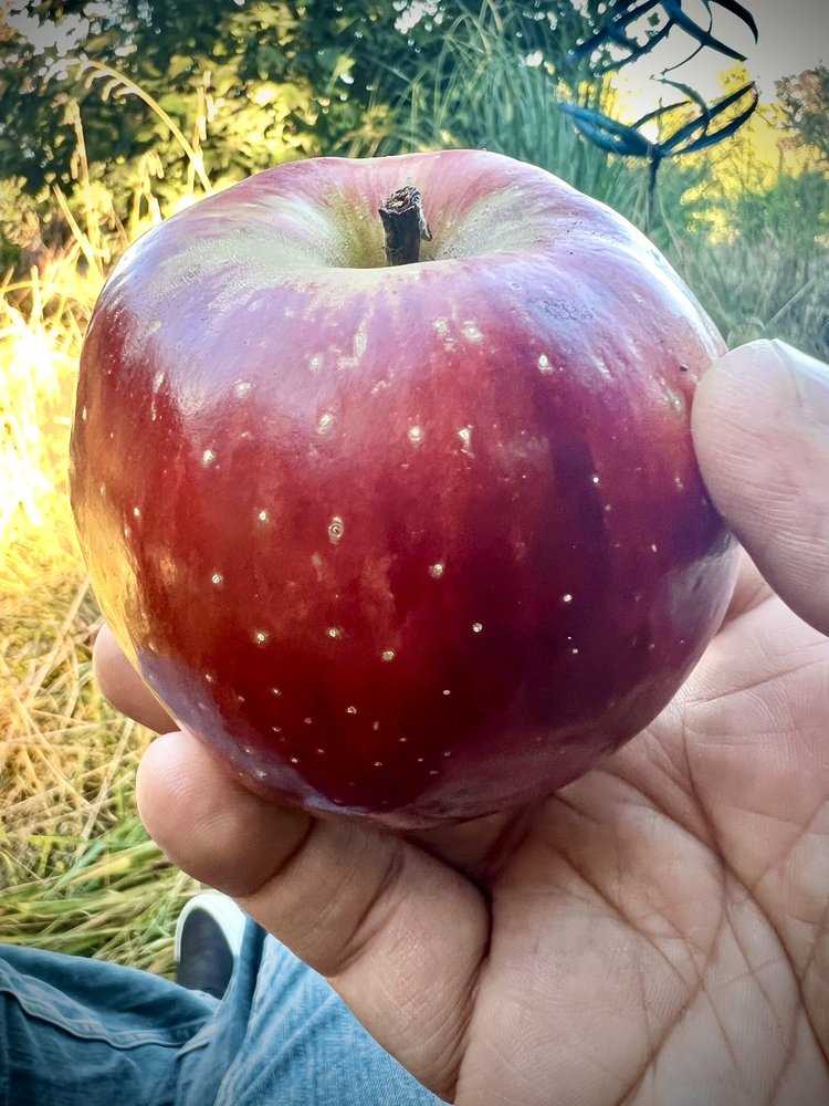 image of business Kartini Clinic