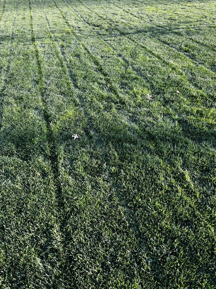 Pennsylvania Turf