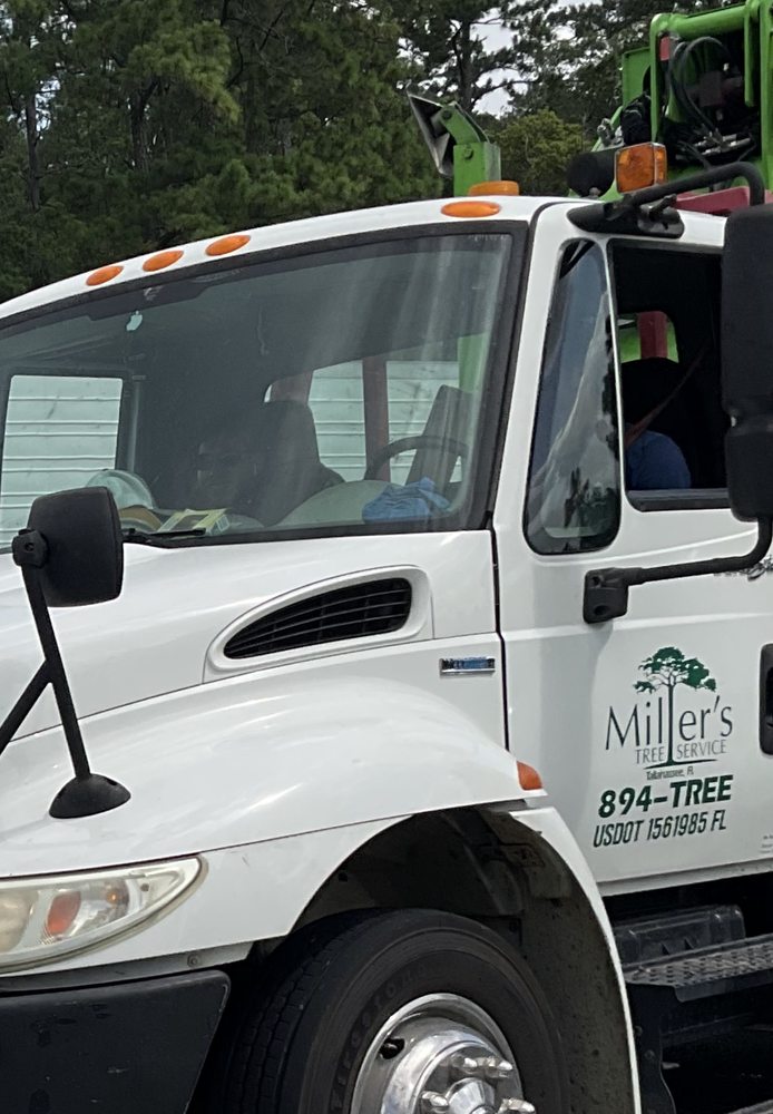 Miller's Tree Service