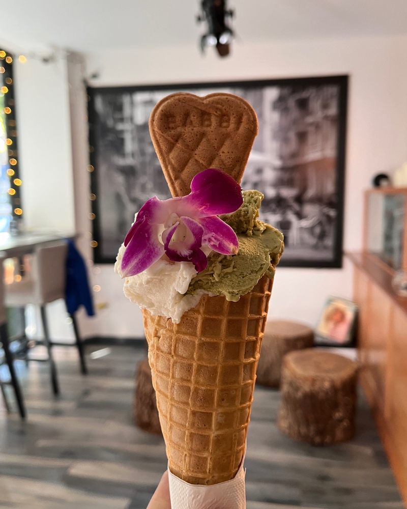 Serendipity BK