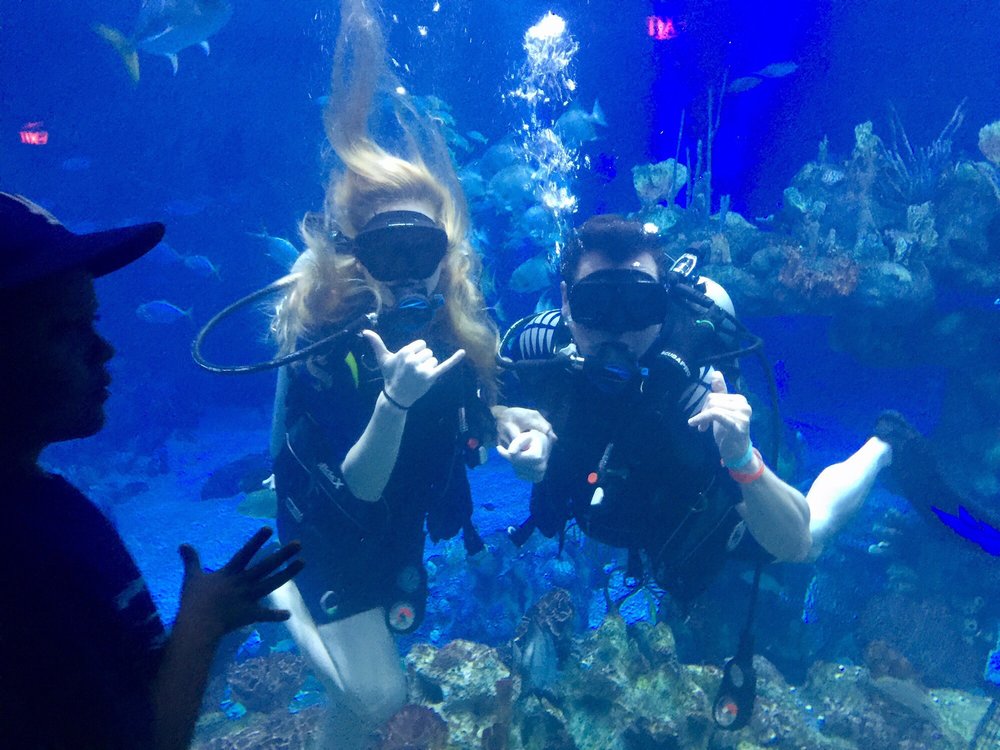 Epcot Dive Quest 21 Photos & 24 Reviews Aquariums Epcot Center