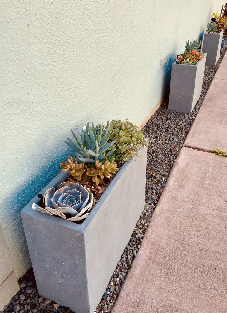 Angela Tamblin Landscape Designs