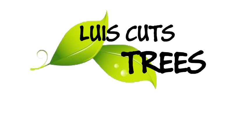 Luis Landscaping services