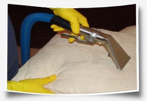 Carpet Cleaning Kingwood