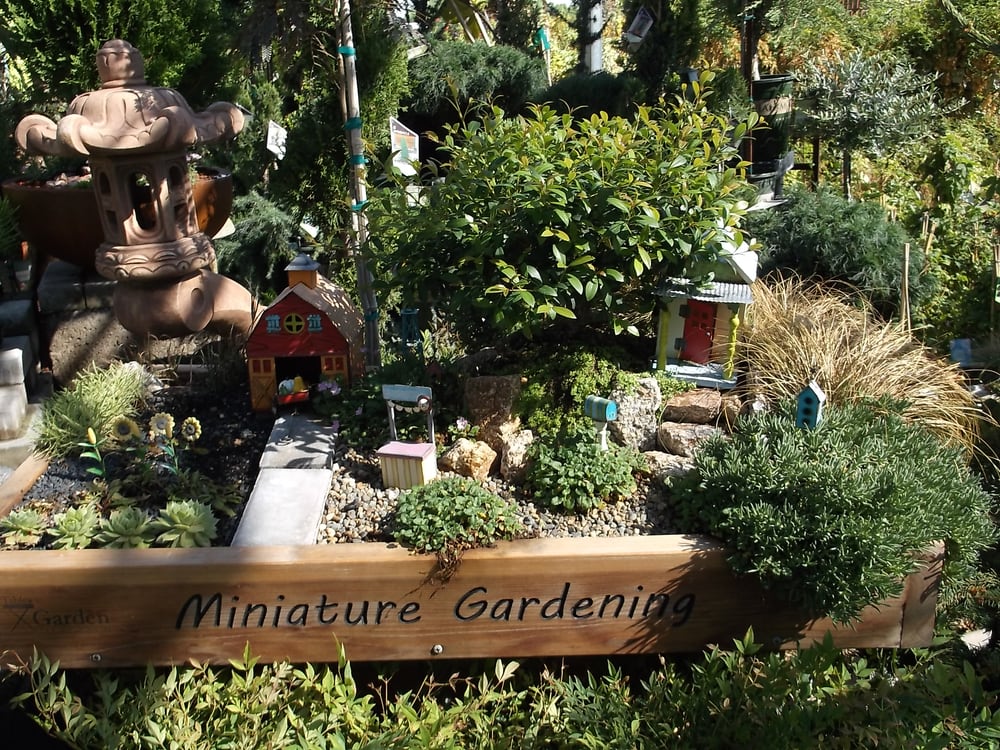 Summerwinds Nursery Bethany Home Rd Gift Card Phoenix Summerwinds Nursery Bethany Home Rd Gift Card Phoenix