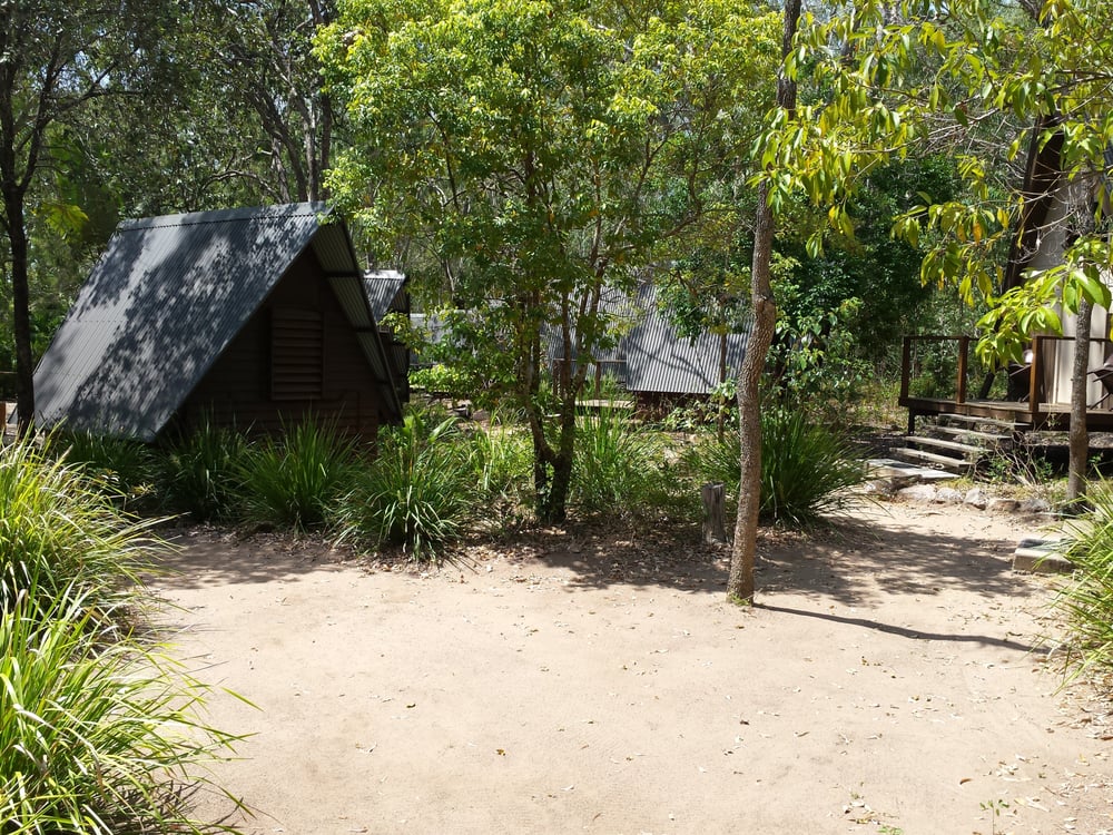 Bungalow Bay Koala Village