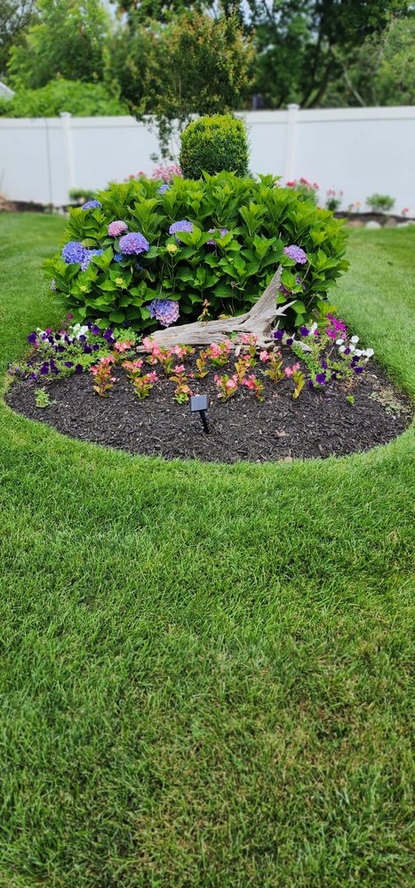 Making Solid Ground Lawn Care