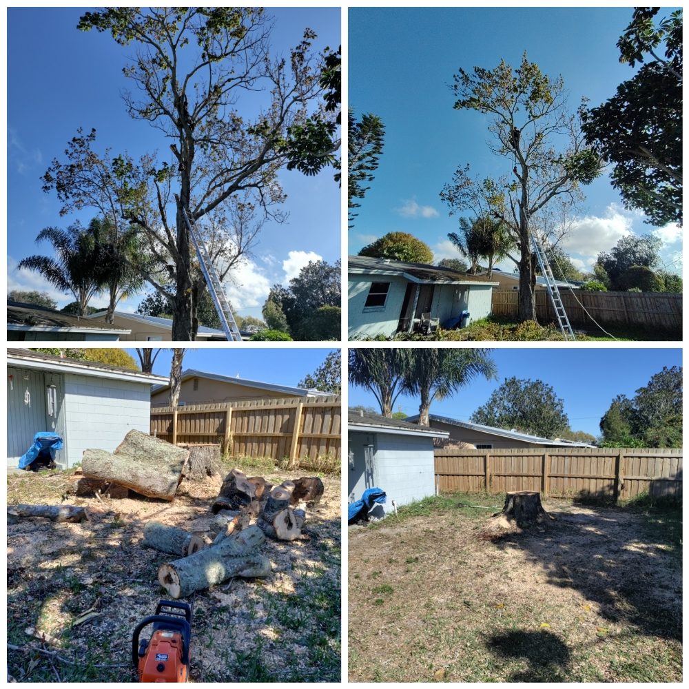Uprooted Tree & Lawn Care
