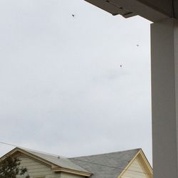 big blue bug solutions 18 photos 42 reviews pest control 161 big blue bug solutions