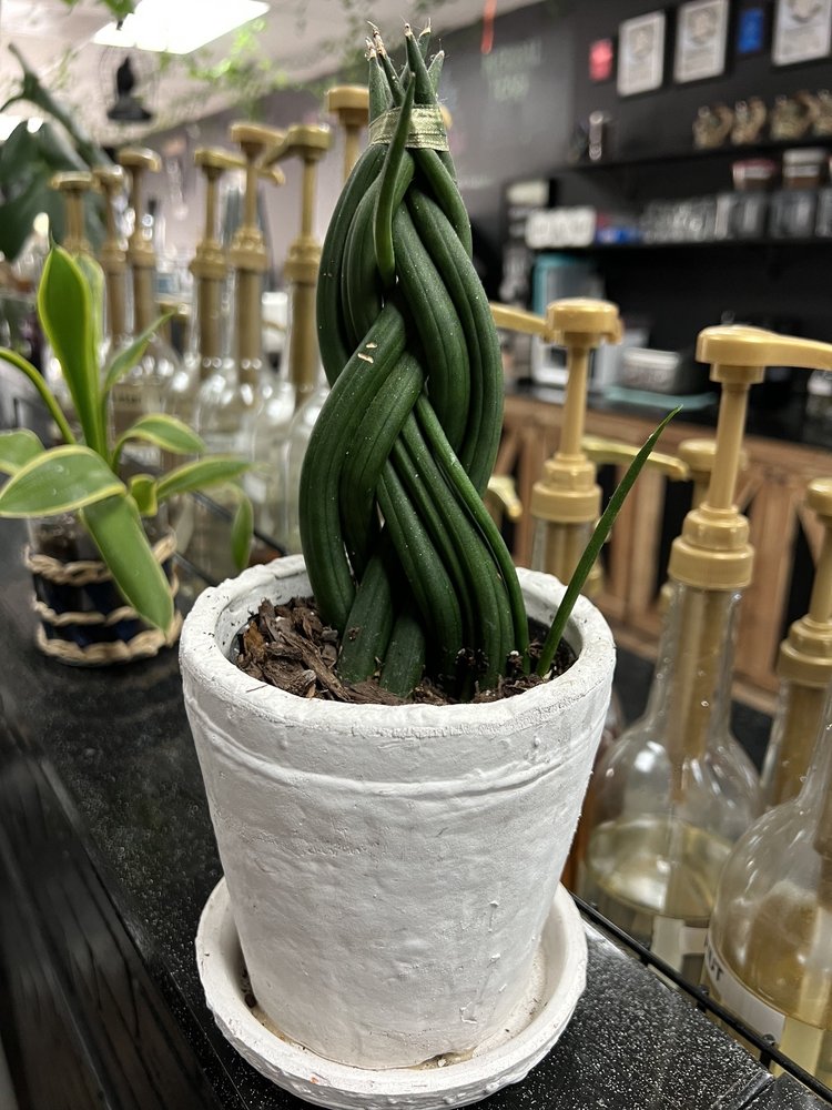 Ravenwood Coffee & Creations