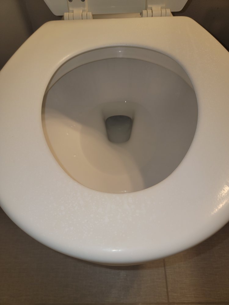 Sofia's Housekeeping