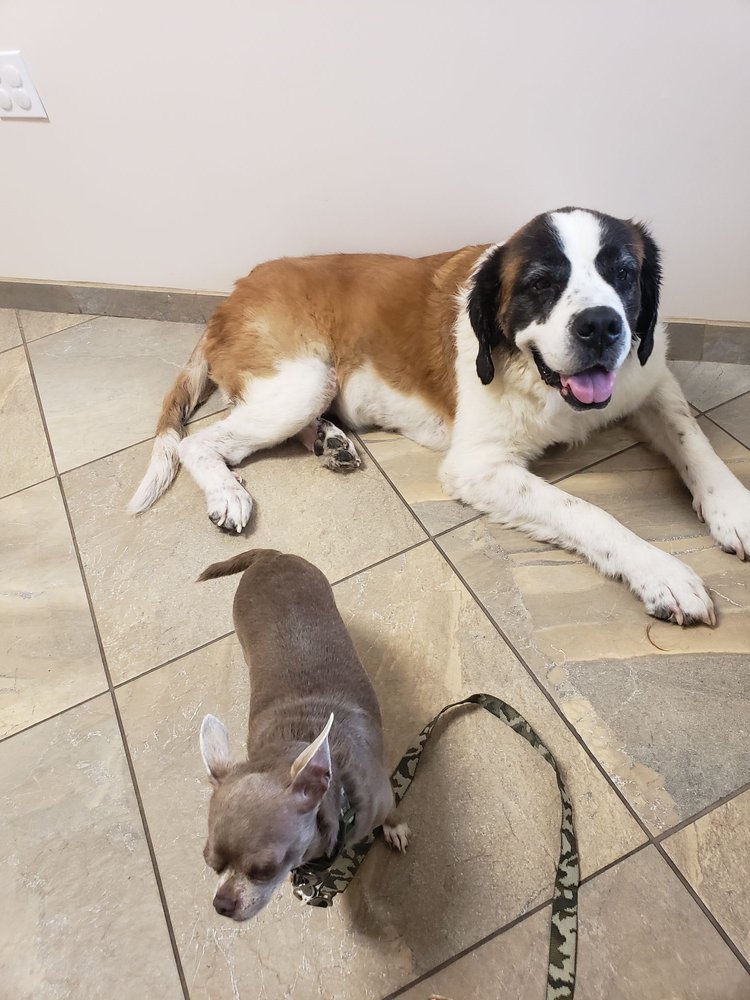 CoastView Veterinary Hospital and Urgent Care