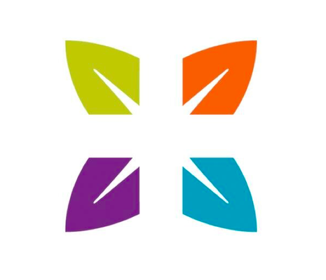 Bradley B McElroy, MD