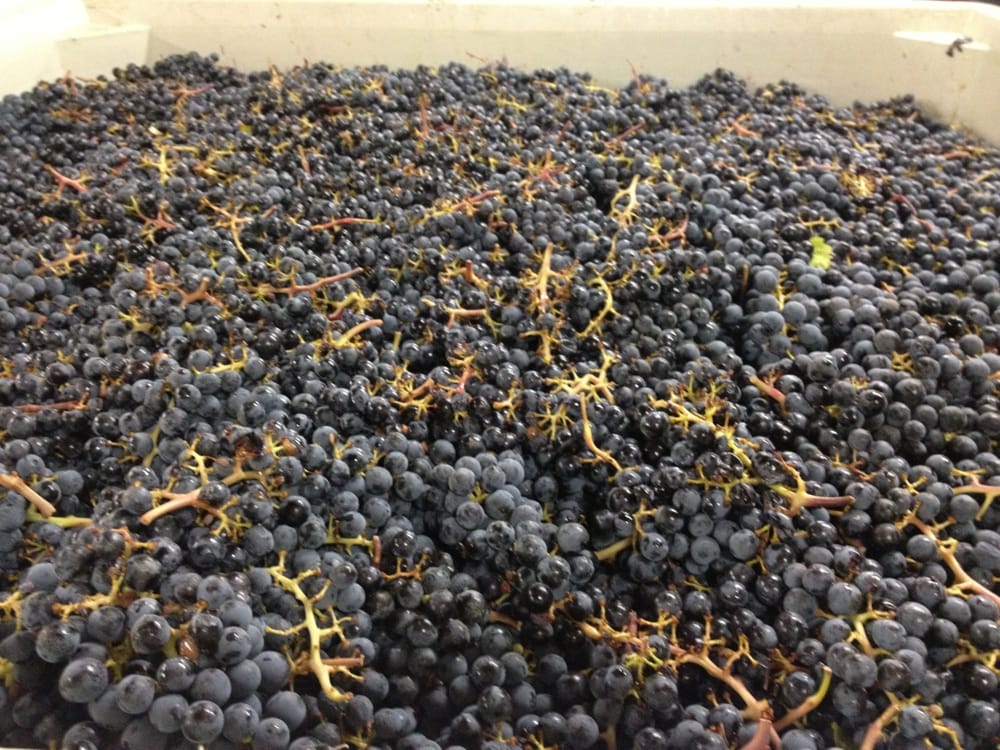 Fall Line Winery
