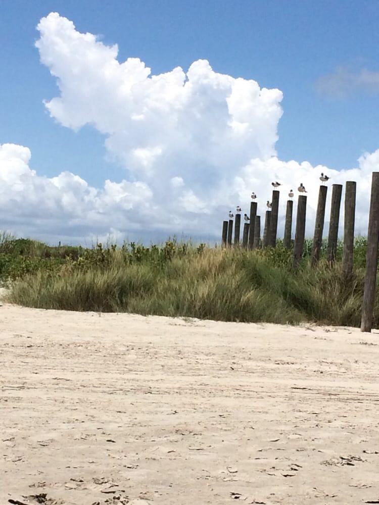 Sunny Beach 31 Photos & 11 Reviews Beaches 11215 Bernice Dr