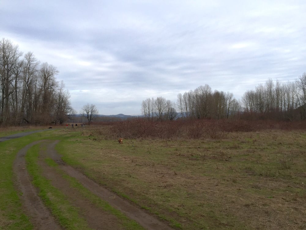 1000 acre park 1000 acre park 98 foto parchi per cani troutdale or stati uniti 1000 acre park 1000 acre park 98 foto parchi per cani troutdale or stati uniti