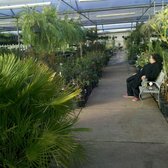 Mike S Garden Centers 13 Reviews Nurseries Gardening 555 E Photo Of Mike S Garden Centers Southlake Tx United States