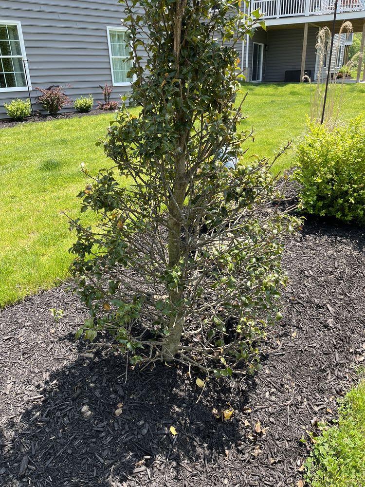 Fairfield Landscaping