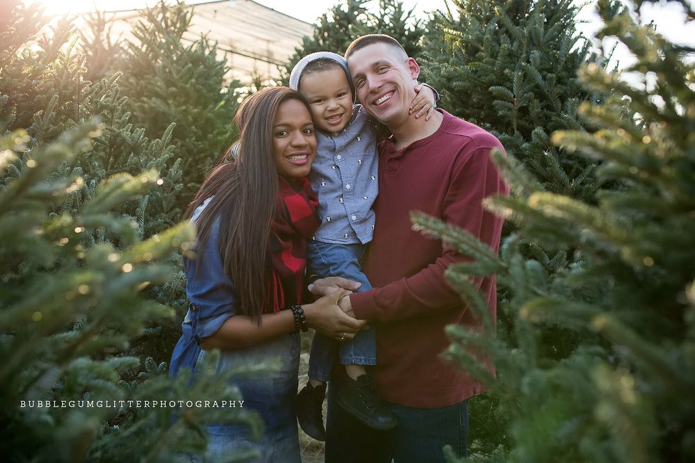 Gordy's Christmas Tree Service