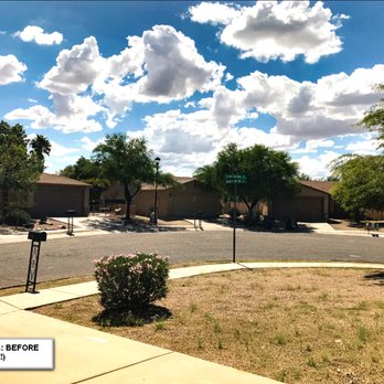 Alpha Ponds Landscaping 55 Photos 3950 N Photo Of Alpha Ponds Landscaping Tucson Az United States The Weed