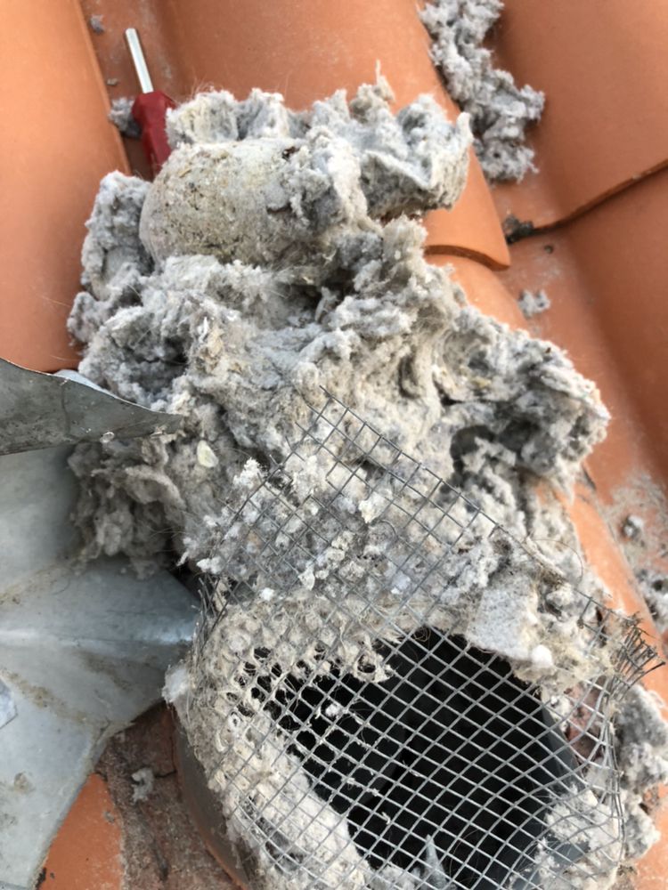 Vivs Vent Cleaning