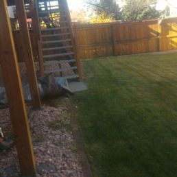 evergreen landscaping services landscaping 2935 w park pl