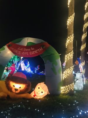 Pinellas County Christmas Lights Competition, 3090 Tanglewood Dr