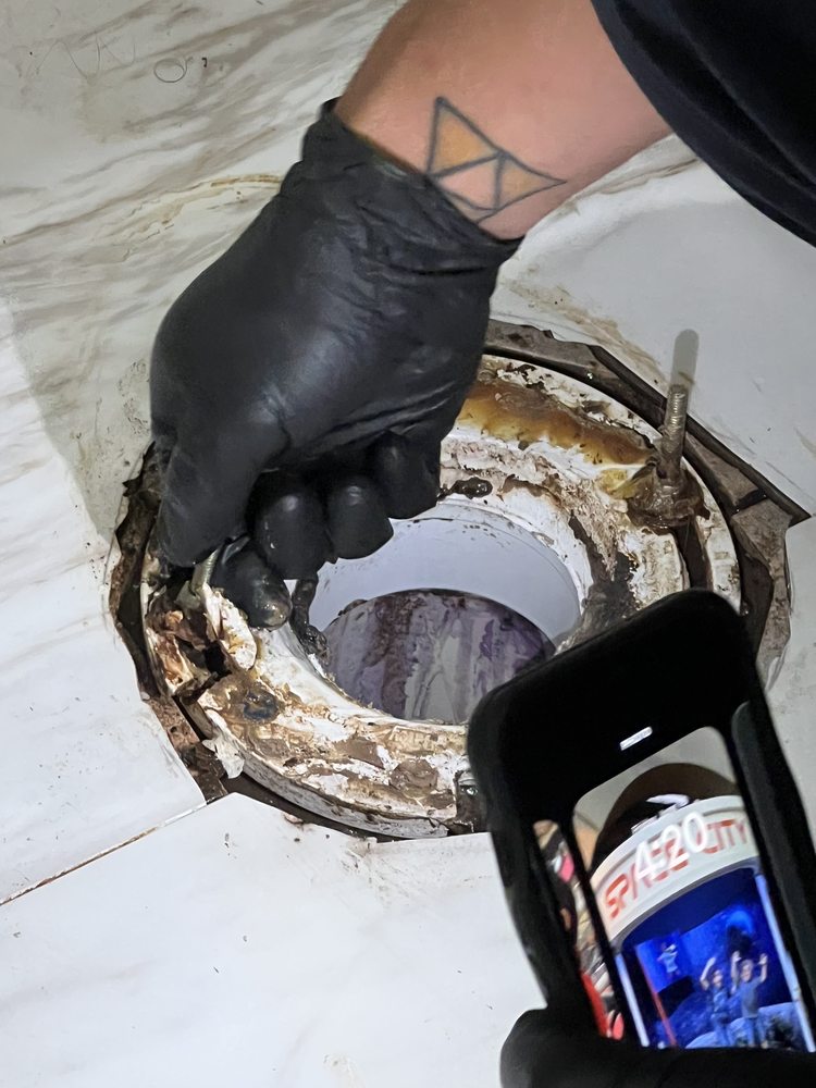 image of business Alliance Plumbing Services