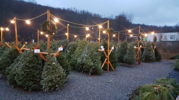 Kent Countryside Nursery 61 Ludington Ct Carmel Ny Nurseries Mapquest